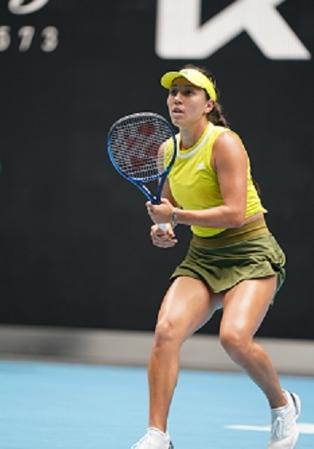 一个较大的 一个较大的