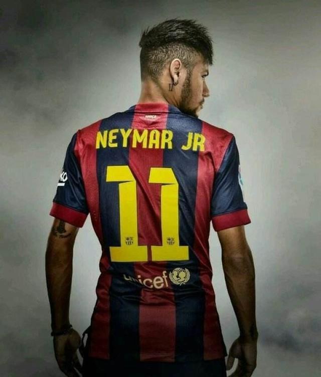 的教科书片 的教科书片